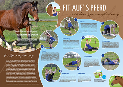 Poster - Fit auf's Pferd